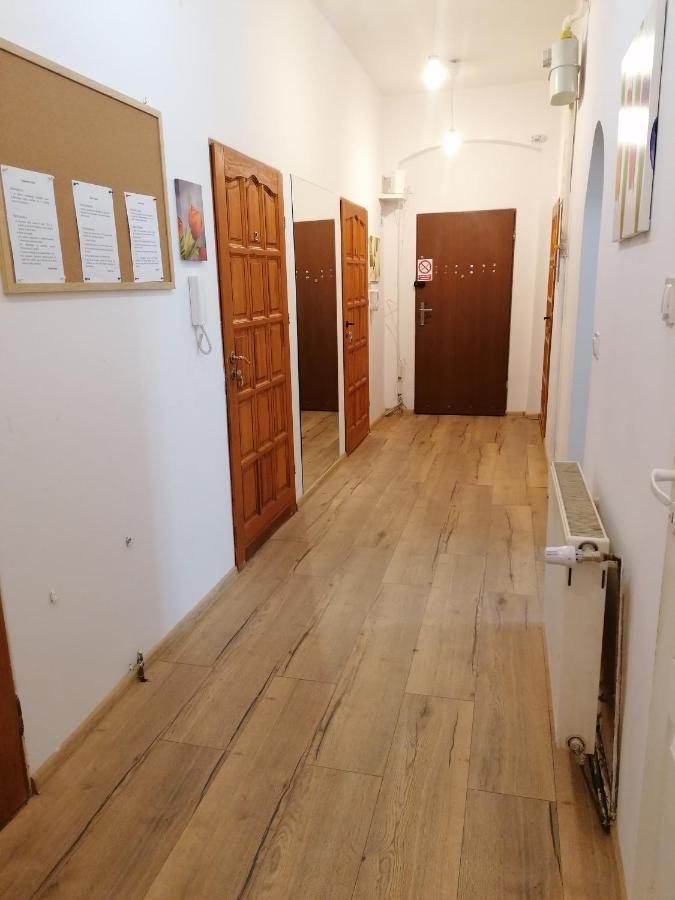 Hostel Tulip - Pokoj Jednoosobowy Nr 3 Ze Wspolna Lazienka I Kuchnia Щецин Экстерьер фото